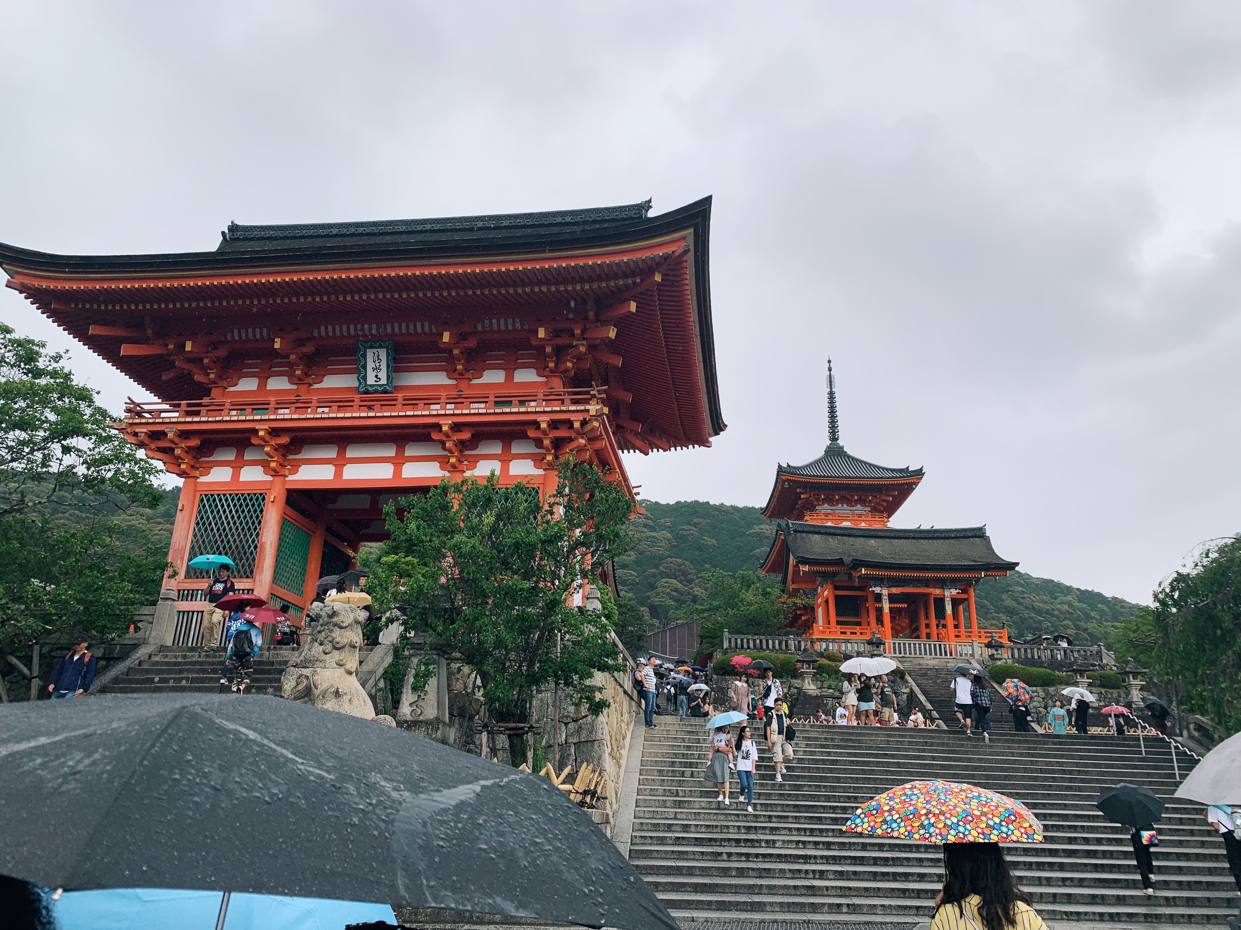 When in Kyoto