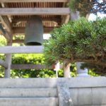 DeAnna’s Photo Slideshow About Hasedera Temple