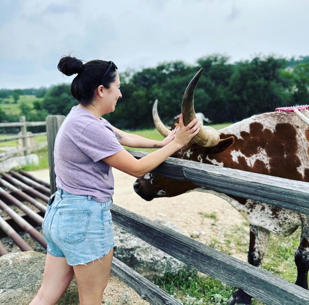 Jamie Gonzalez pets a brown and white longhorn