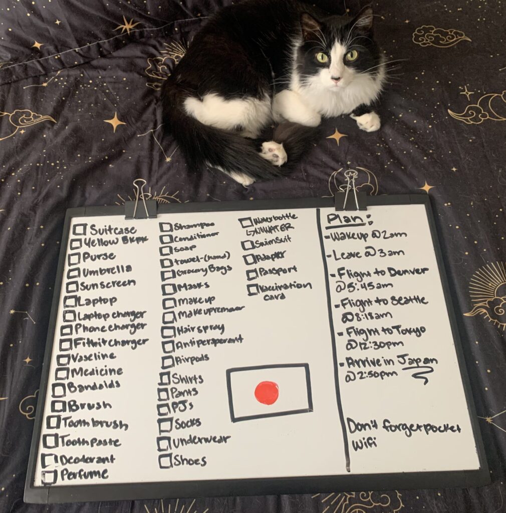 a whiteboard with packing list written on it sits next to a cat
