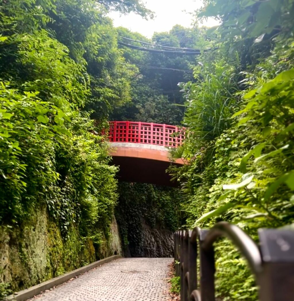 bridge