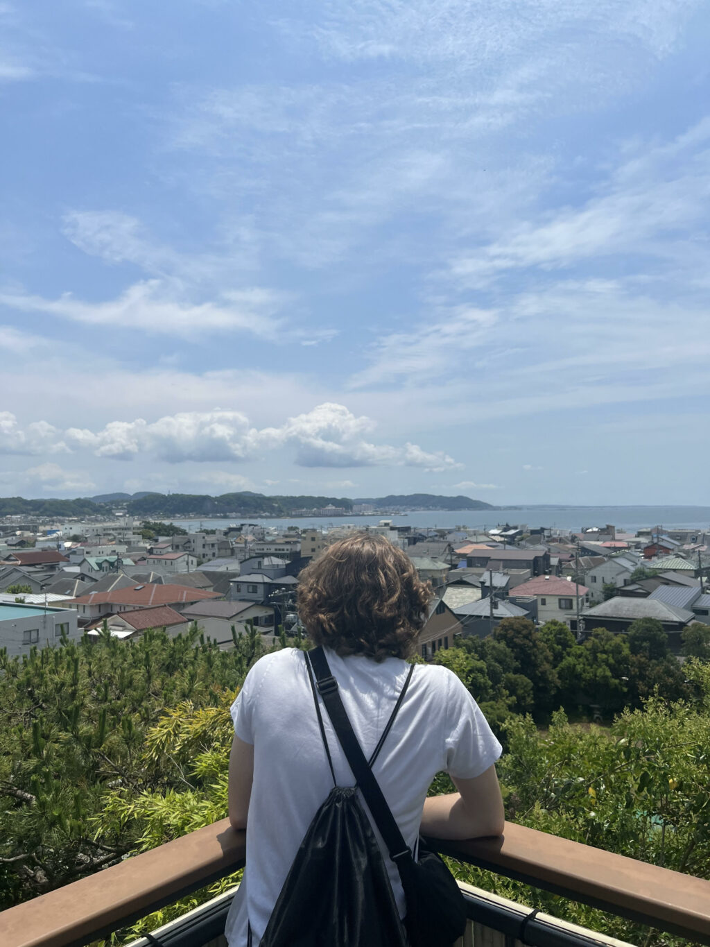 view