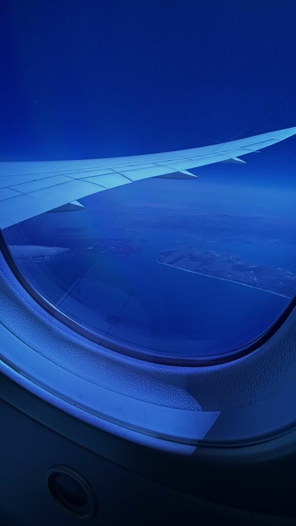Plane Window