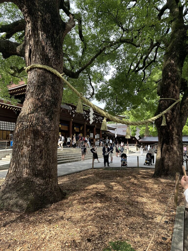 coupled trees
