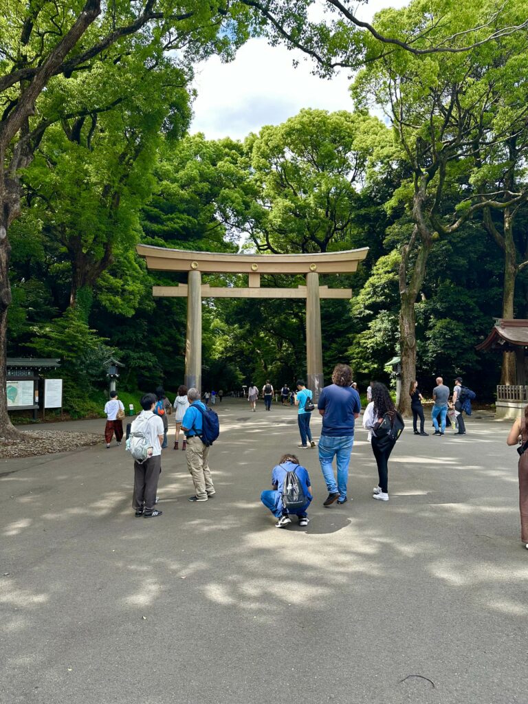Torii gate